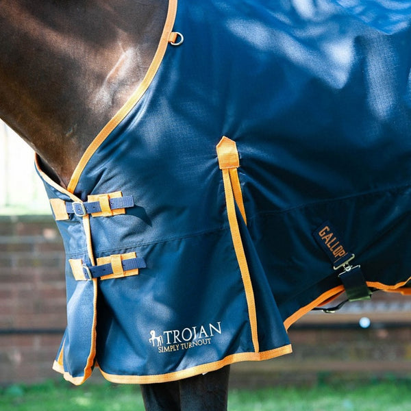 Gallop Trojan Turnout 100g No Neck Navy/Orange