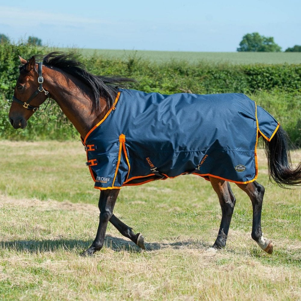 Gallop Trojan Turnout 100g No Neck Navy/Orange