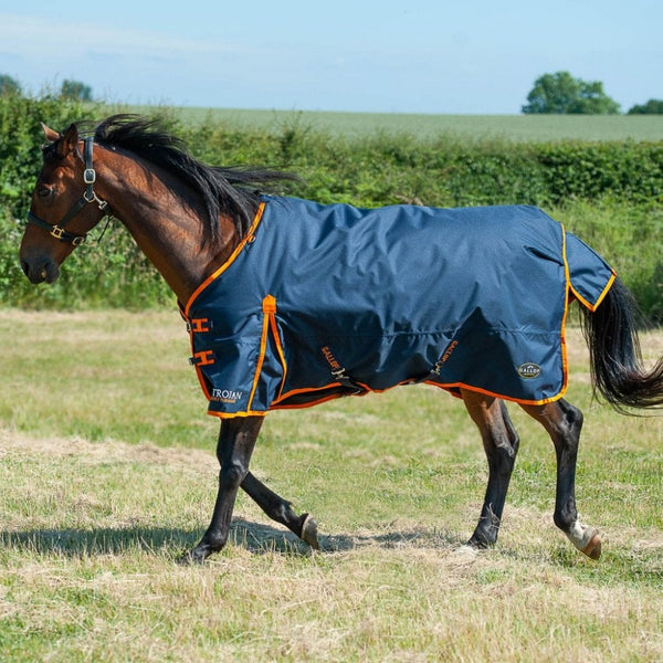 Gallop Trojan Turnout 100g No Neck Navy/Orange
