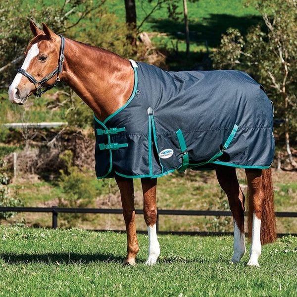 Weatherbeeta Comfitec Classic Standard Neck 220g Black/Green
