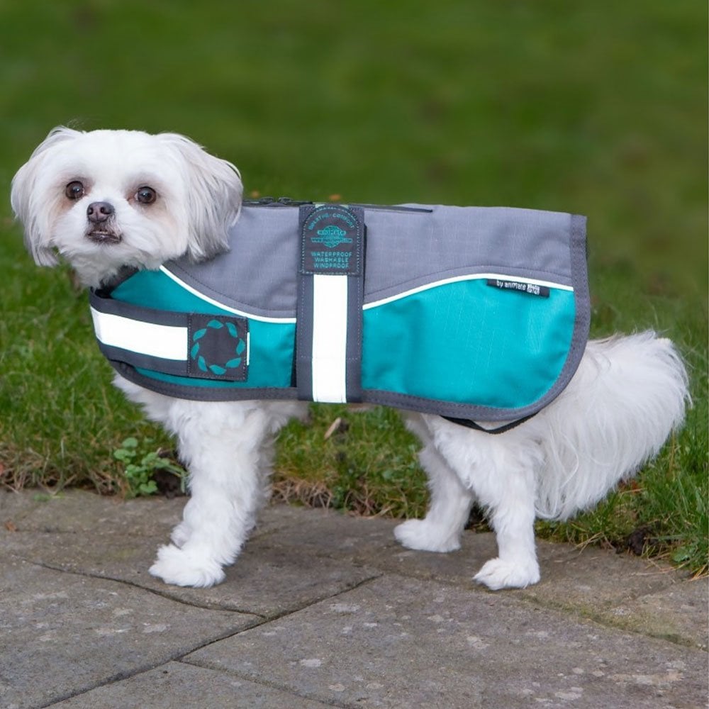 Outhwaites Reflective Grey/Teal Padded Harness Dog Coat