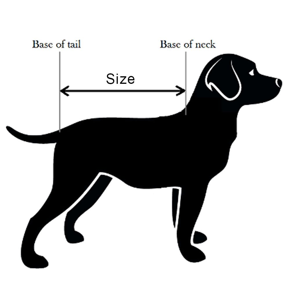 Outhwaites Purple-line Padded Dog Coat