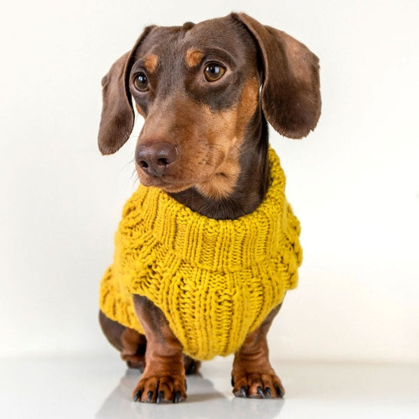 Park Lane Pup Cosy Knitted Dog Jumper (Sleeveless) Mustard