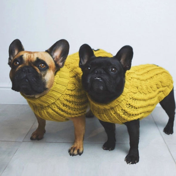 Park Lane Pup Cosy Knitted Dog Jumper (Sleeveless) Mustard