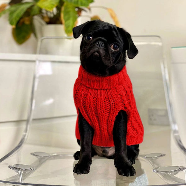 Park Lane Pup Cosy Knitted Dog Jumper (Sleeveless) Red