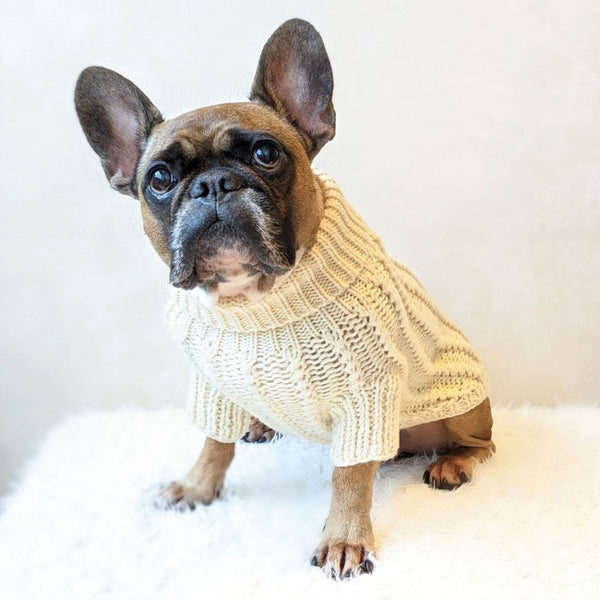 Park Lane Pup Cosy Knitted Dog Jumper Cosy Cream