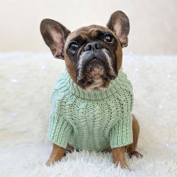 Park Lane Pup Cosy Knitted Dog Jumper Peppermint