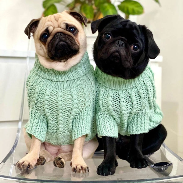 Park Lane Pup Cosy Knitted Dog Jumper Peppermint