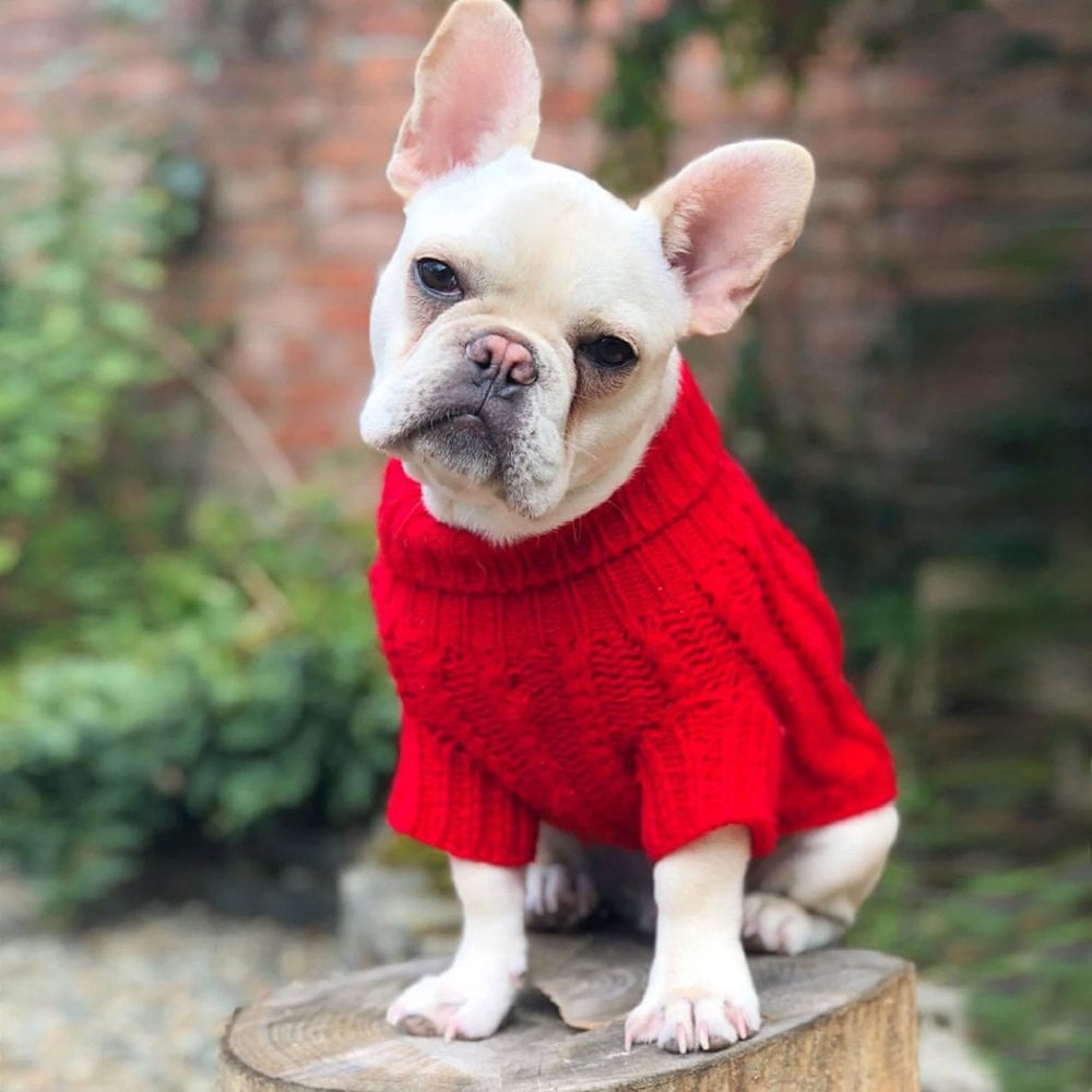 Park Lane Pup Cosy Knitted Dog Jumper Red Rose