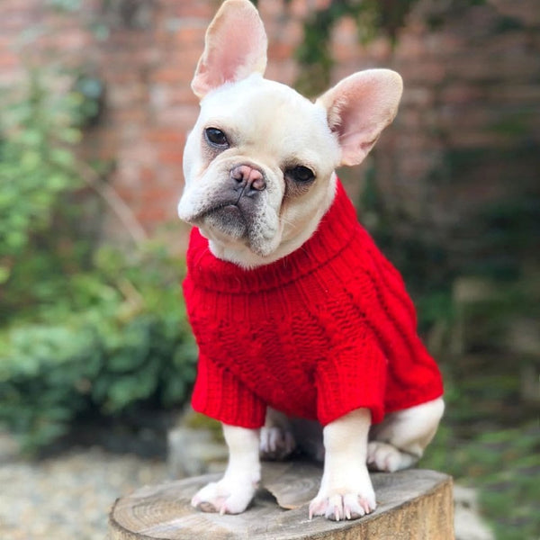 Park Lane Pup Cosy Knitted Dog Jumper Red Rose