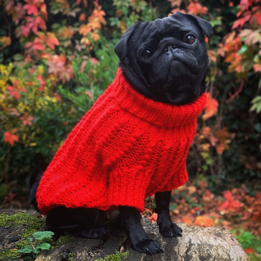 Park Lane Pup Cosy Knitted Dog Jumper Red Rose