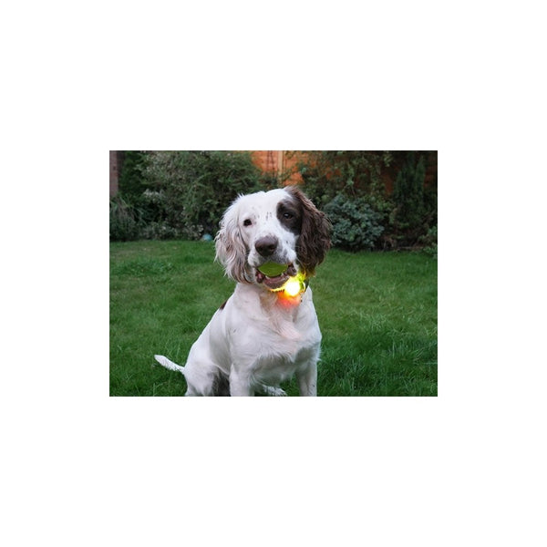 Rosewood Silicon Collar Light
