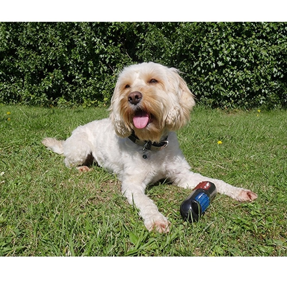 Rosewood Throw and Flash Stick Dog Toy