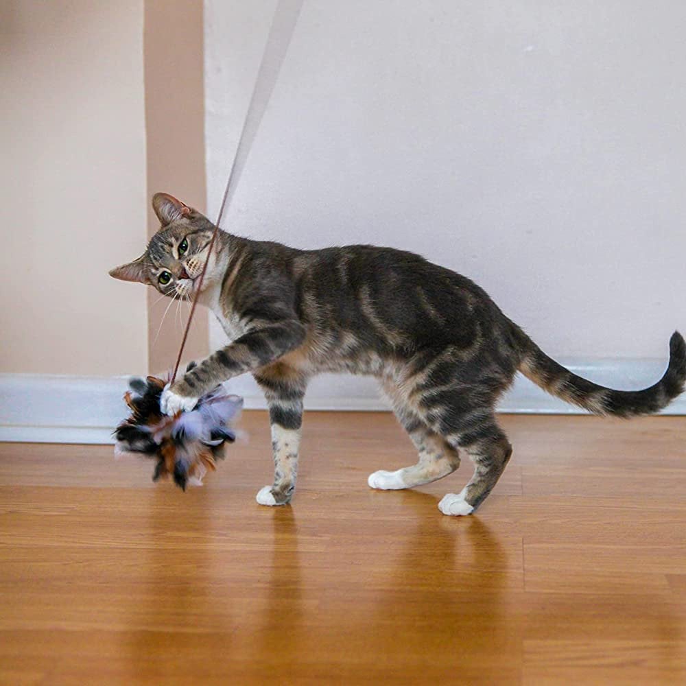 Rosewood Natural Feather Teaser Cat Toy