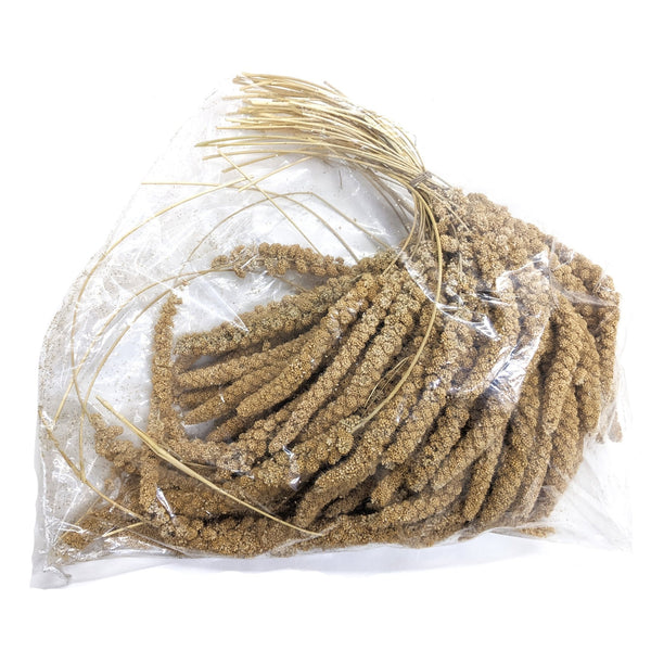 Burnhills Millet Sprays 1Kg - Bird Treat