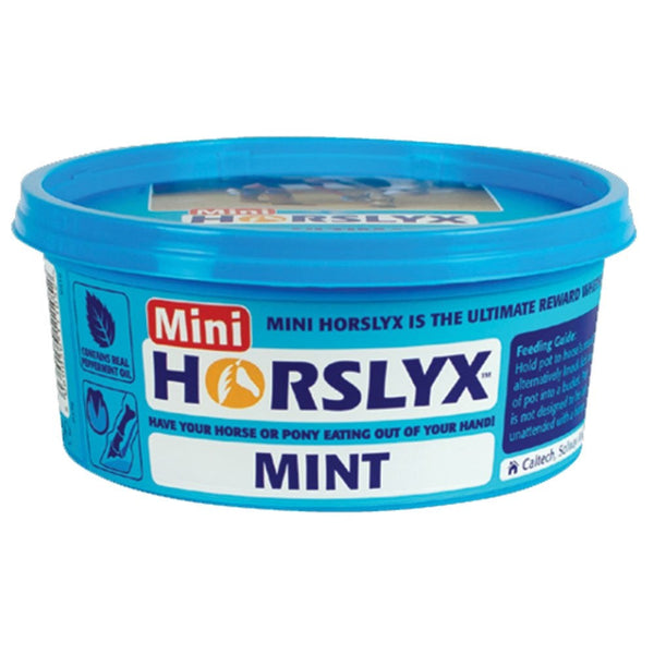 Horslyx MINI Lick Mint 650g