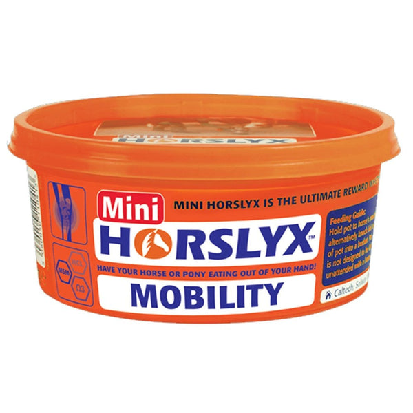 Horslyx MINI Lick Mobility Lick 650g