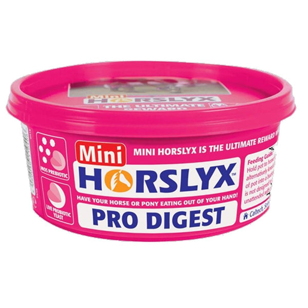 Horslyx MINI Lick Pro Digest Balancer 650g