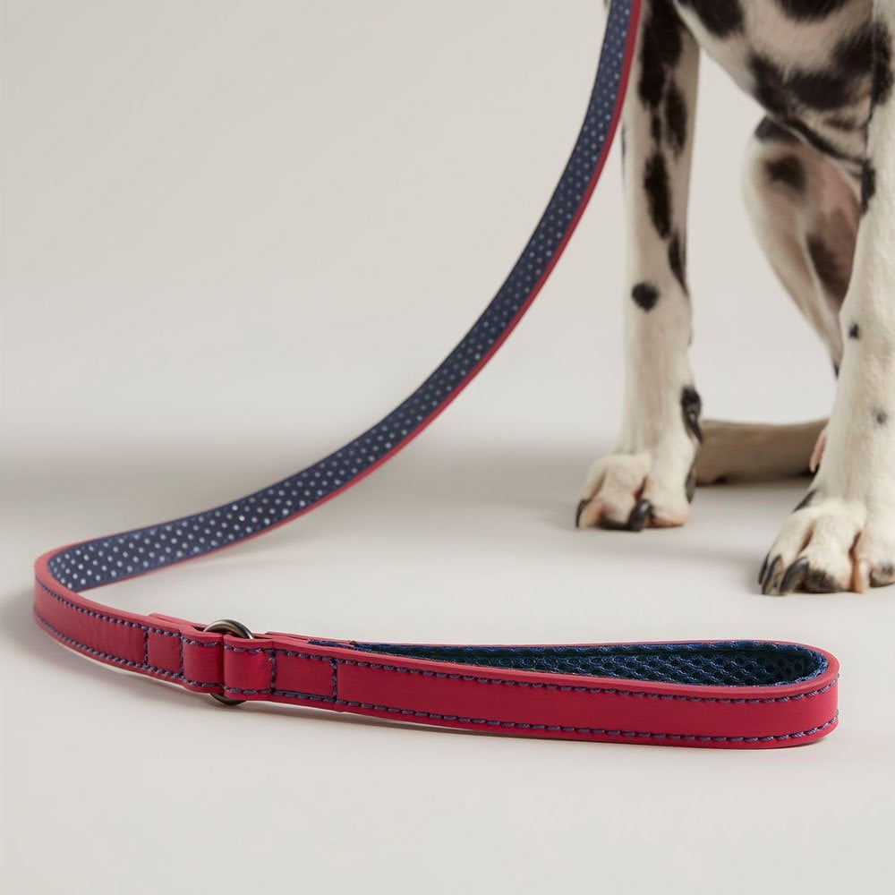 Joules Pink Leather Dog Lead 3/4" 40"
