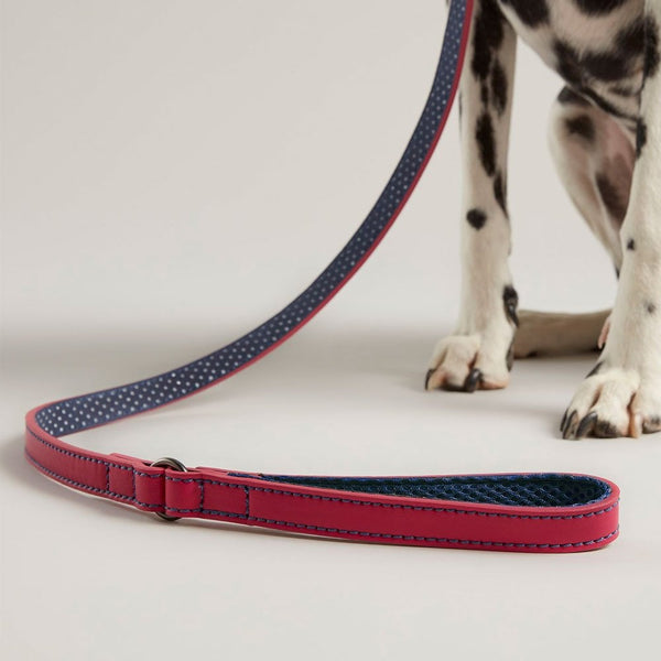 Joules Pink Leather Dog Lead 3/4" 40"