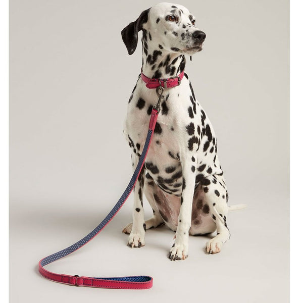 Joules Pink Leather Dog Lead 3/4" 40"