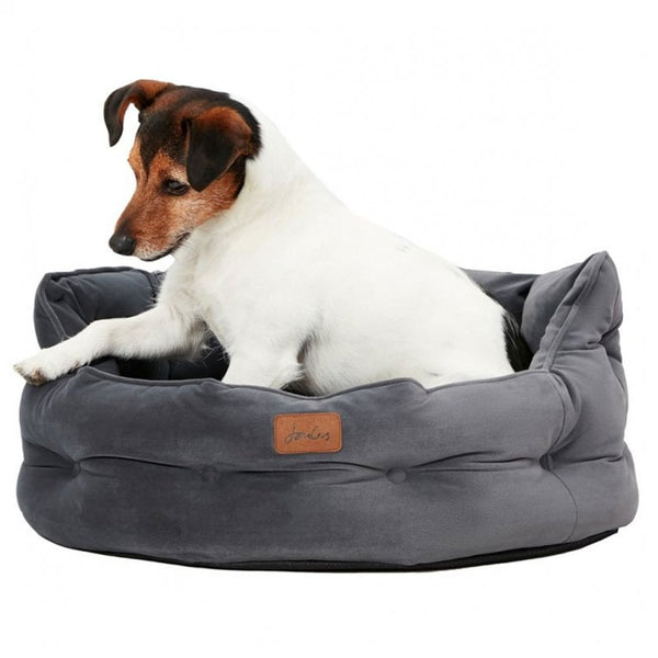 Joules Velvet Chesterfield Pet Bed Grey