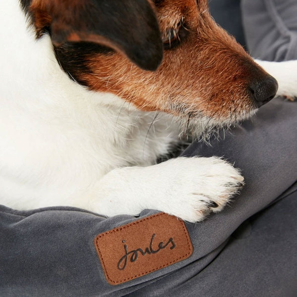 Joules Velvet Chesterfield Pet Bed Grey