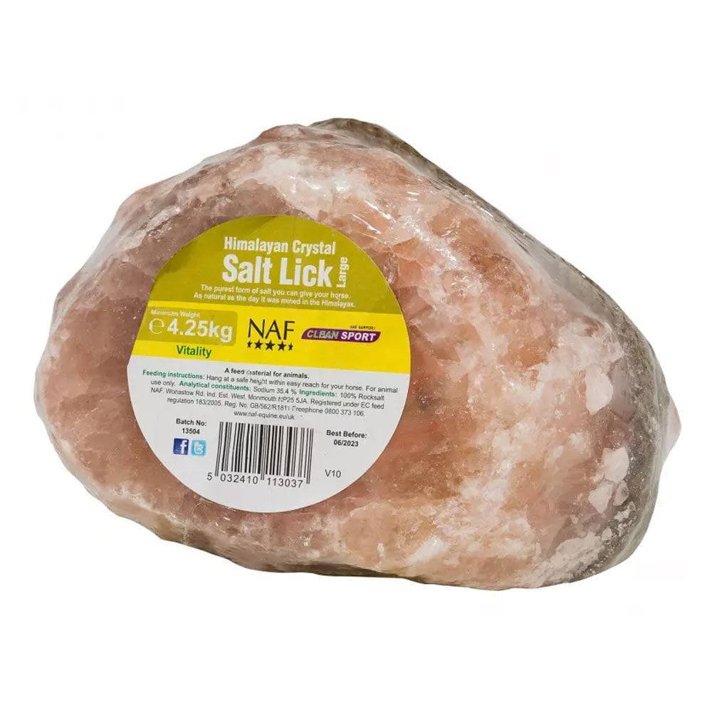 NAF Himalayan Salt Lick - Horse Lick
