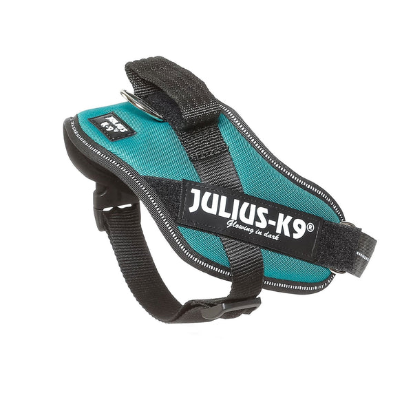 Julius-K9 IDC Powerharness Petrol Green