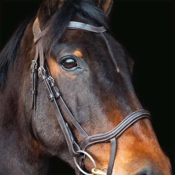Cameo Performance Anatomic Bridle with Flexi Bio Reins Brown