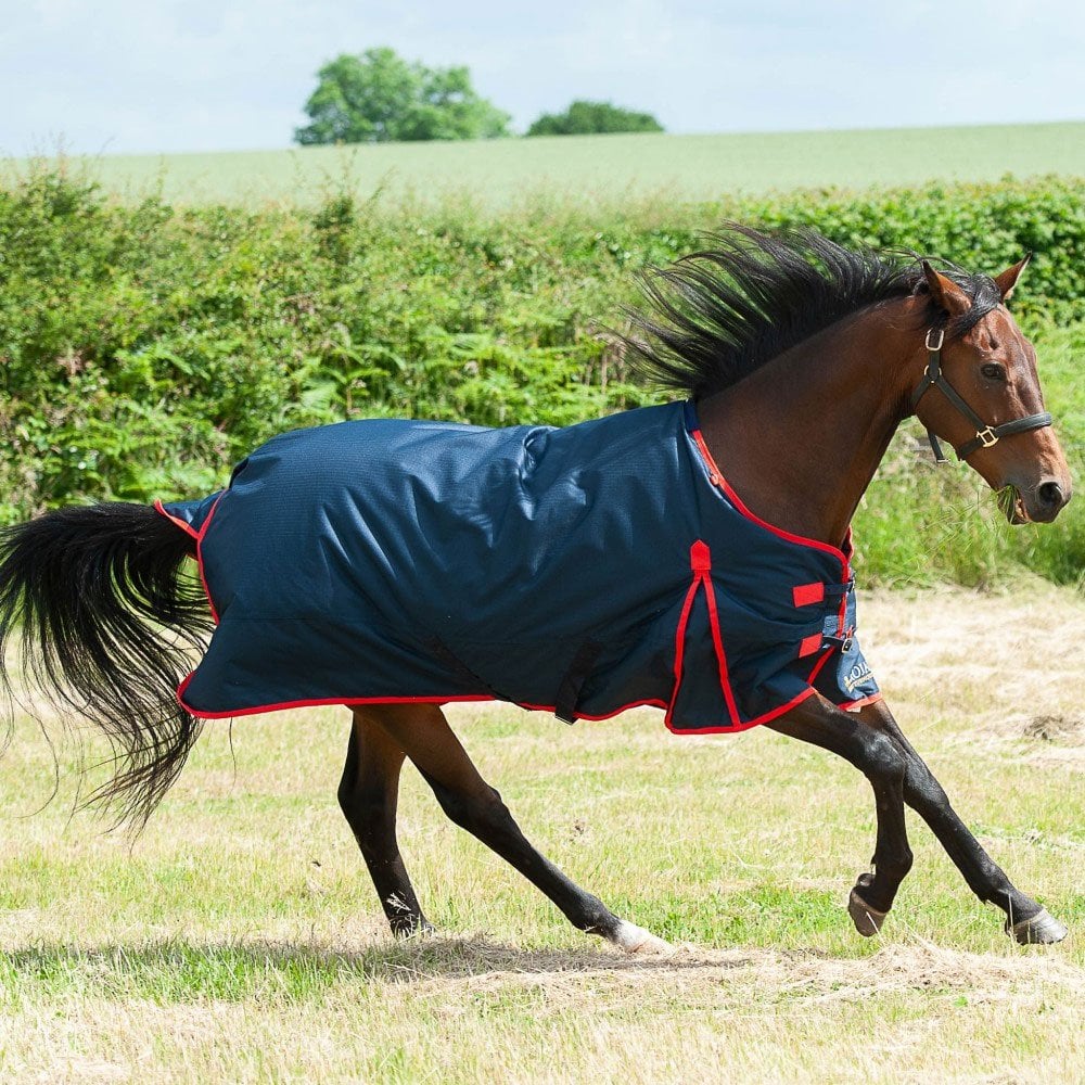 Gallop Trojan Classic 200g Turnout Rug Navy/Red