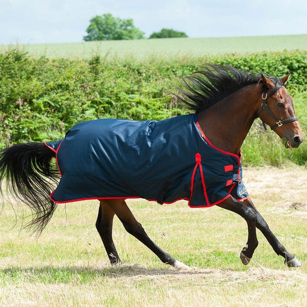 Gallop Trojan Classic 200g Turnout Rug Navy/Red