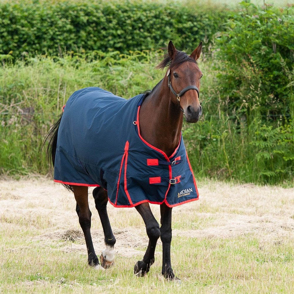 Gallop Trojan Classic 200g Turnout Rug Navy/Red