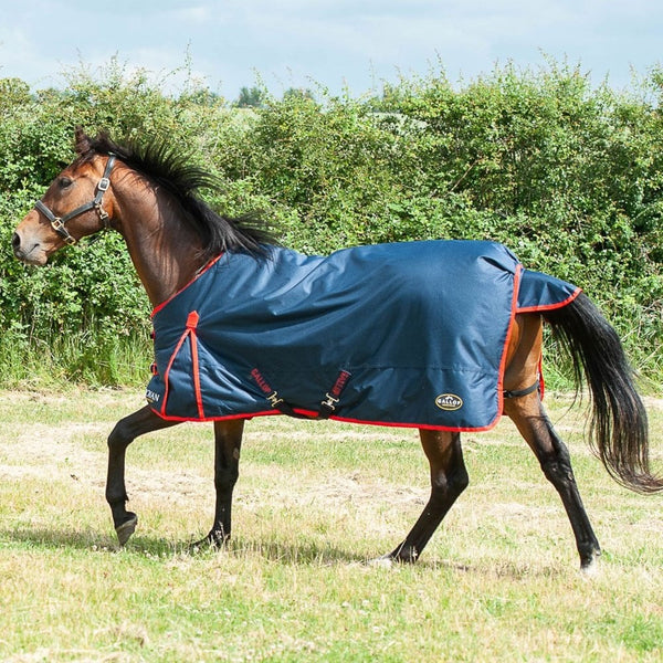 Gallop Trojan Classic 200g Turnout Rug Navy/Red