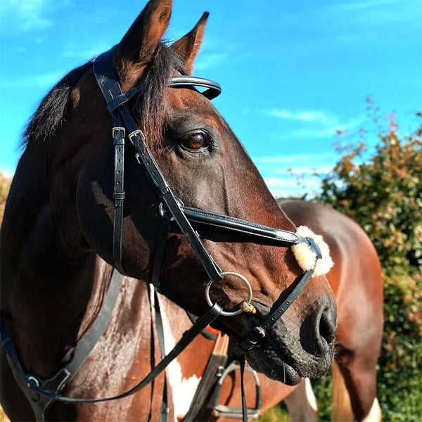 Cameo Grackle Bridle With Sure Grip Reins Black