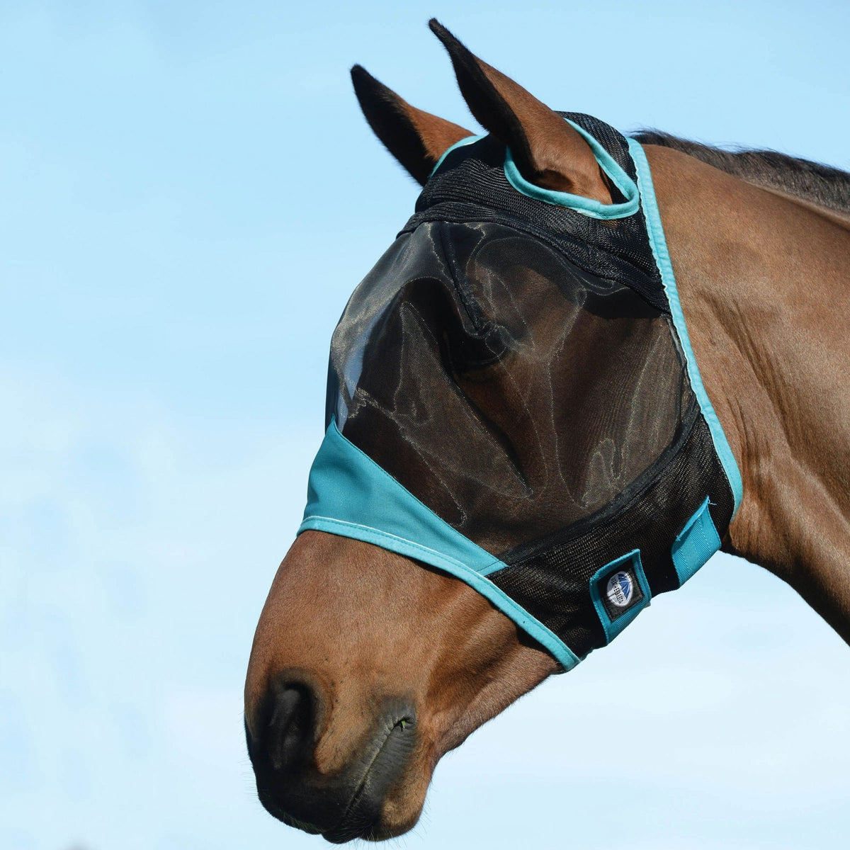 Weatherbeeta Comfitec Fine Mesh Mask Black / Turquiose