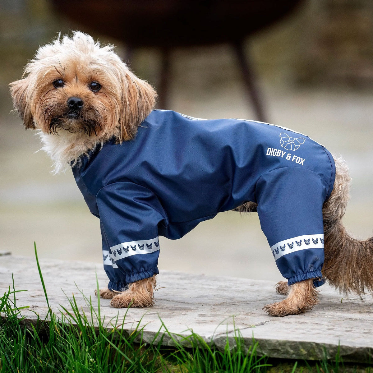 Digby & Fox Cover All Dog Coat Navy