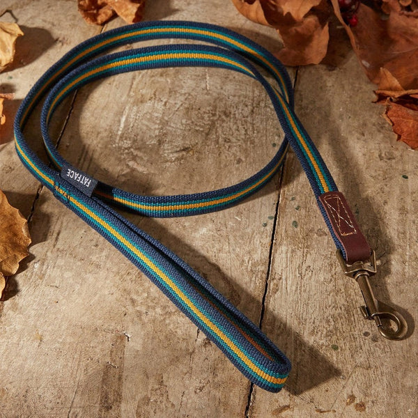 FatFace Bold Stripe Woven Lead