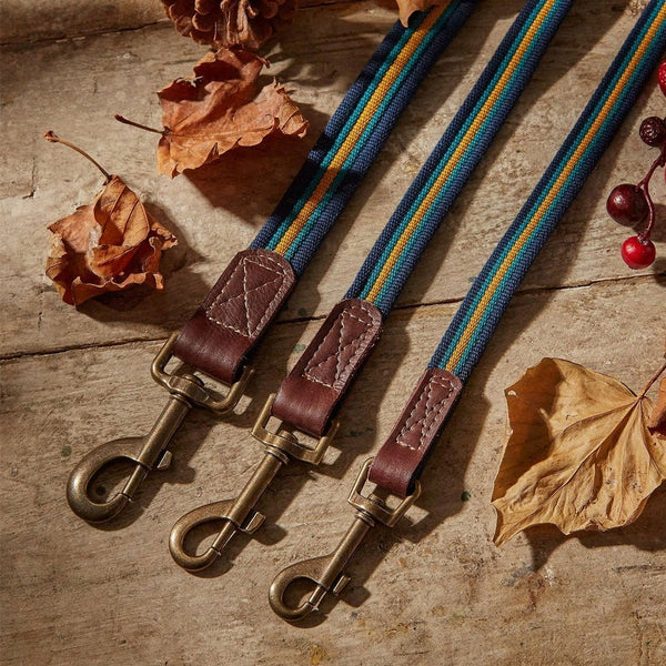 FatFace Bold Stripe Woven Lead