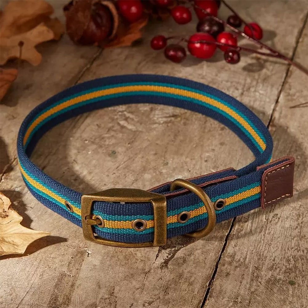 FatFace Bold Stripe Woven Collar