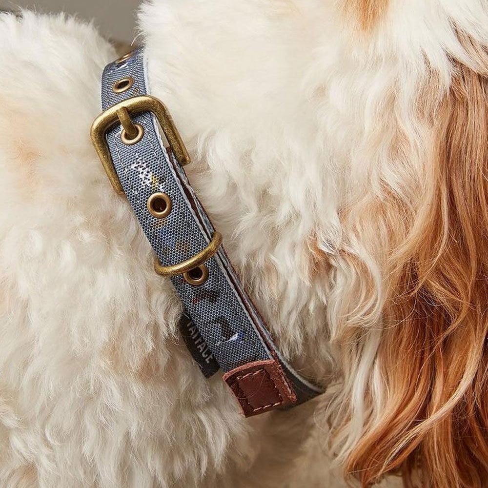 FatFace Marching Dogs Collar