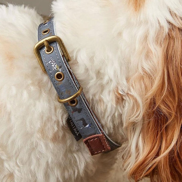 FatFace Marching Dogs Collar