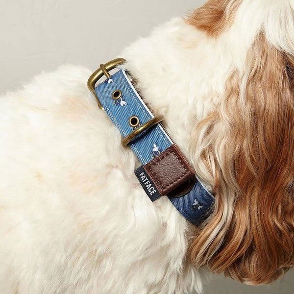 FatFace Spotty Bees Dog Collar