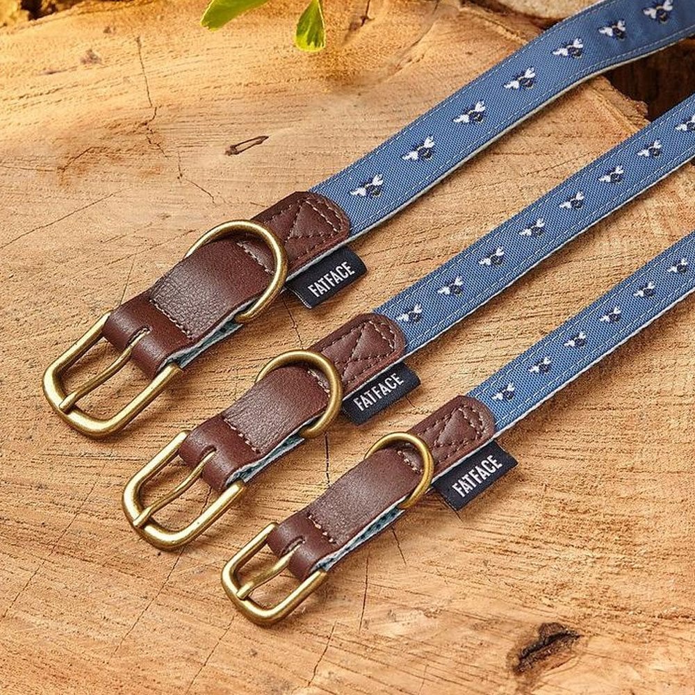 FatFace Spotty Bees Dog Collar