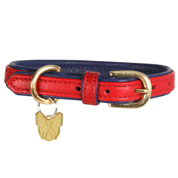 Digby & Fox Padded Leather Dog Collar Scarlett