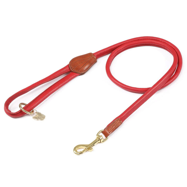 Digby & Fox Rolled Leather Dog Lead Scarlett