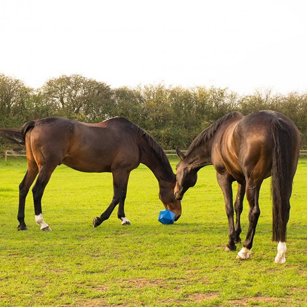 Red Gorilla DripFeed Horse Treat Ball