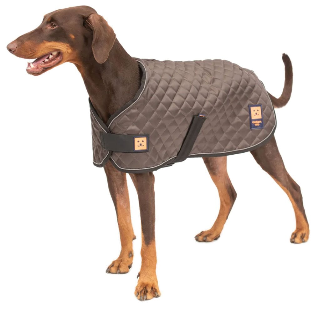 Ginger Ted Thermal Harness Quilted Dog Coat Khaki Brown