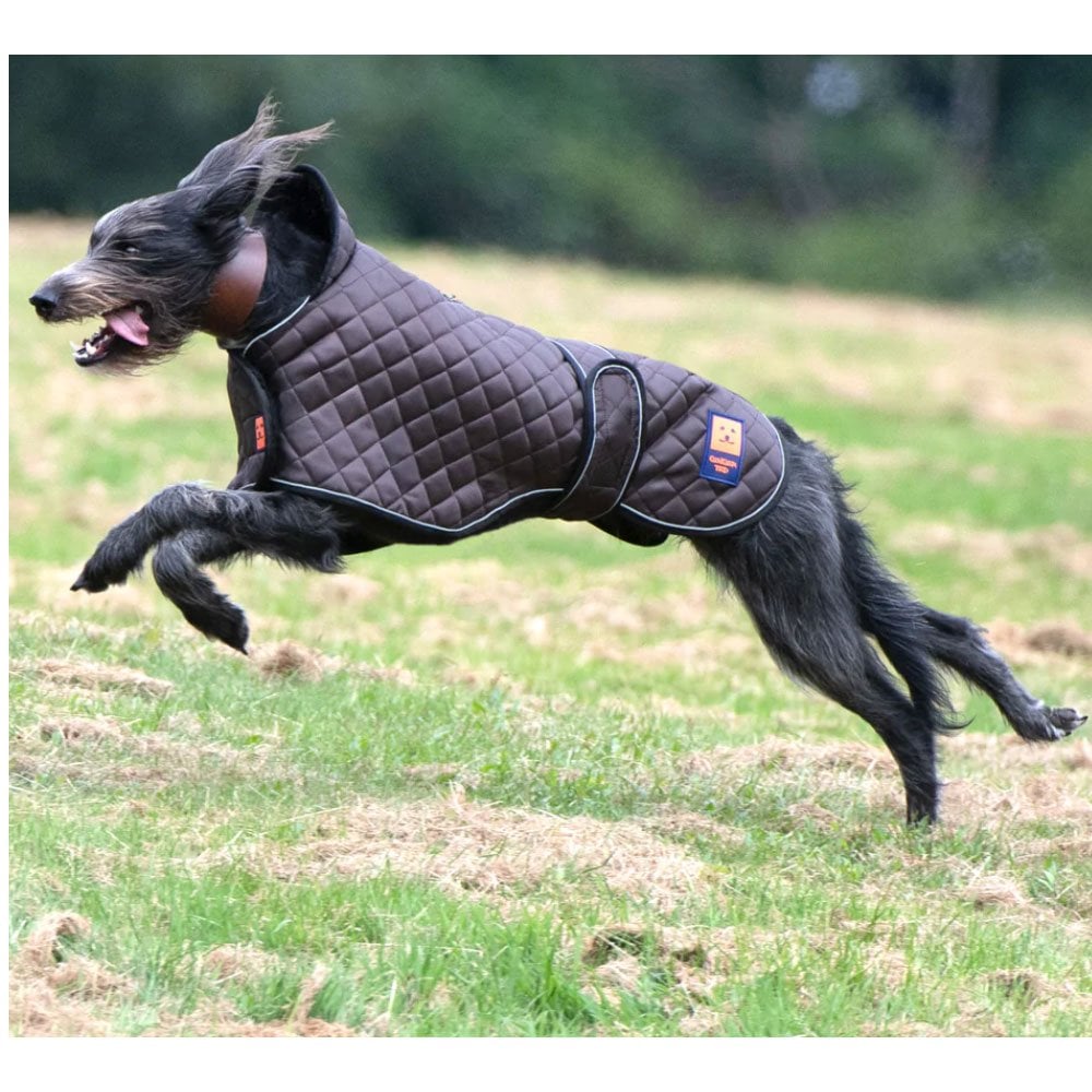 Ginger Ted Thermal Harness Quilted Greyhound Coat Khaki Brown