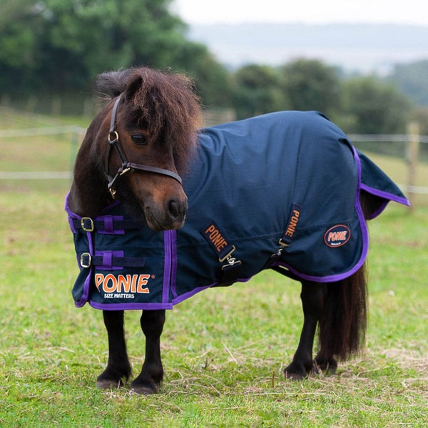 Gallop PONIE Lightweight Turnout Navy/Purple